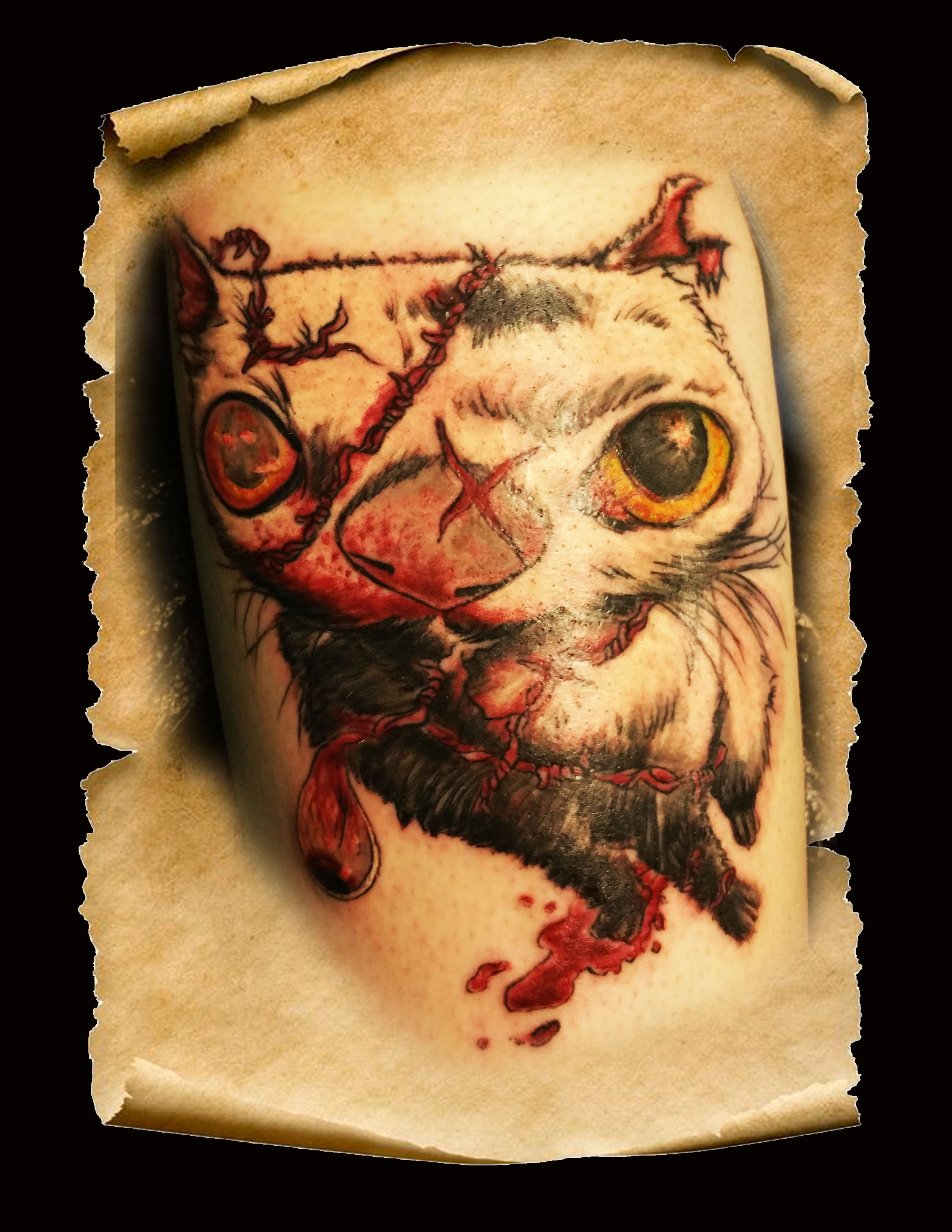 Crazy Cat copy - Copy