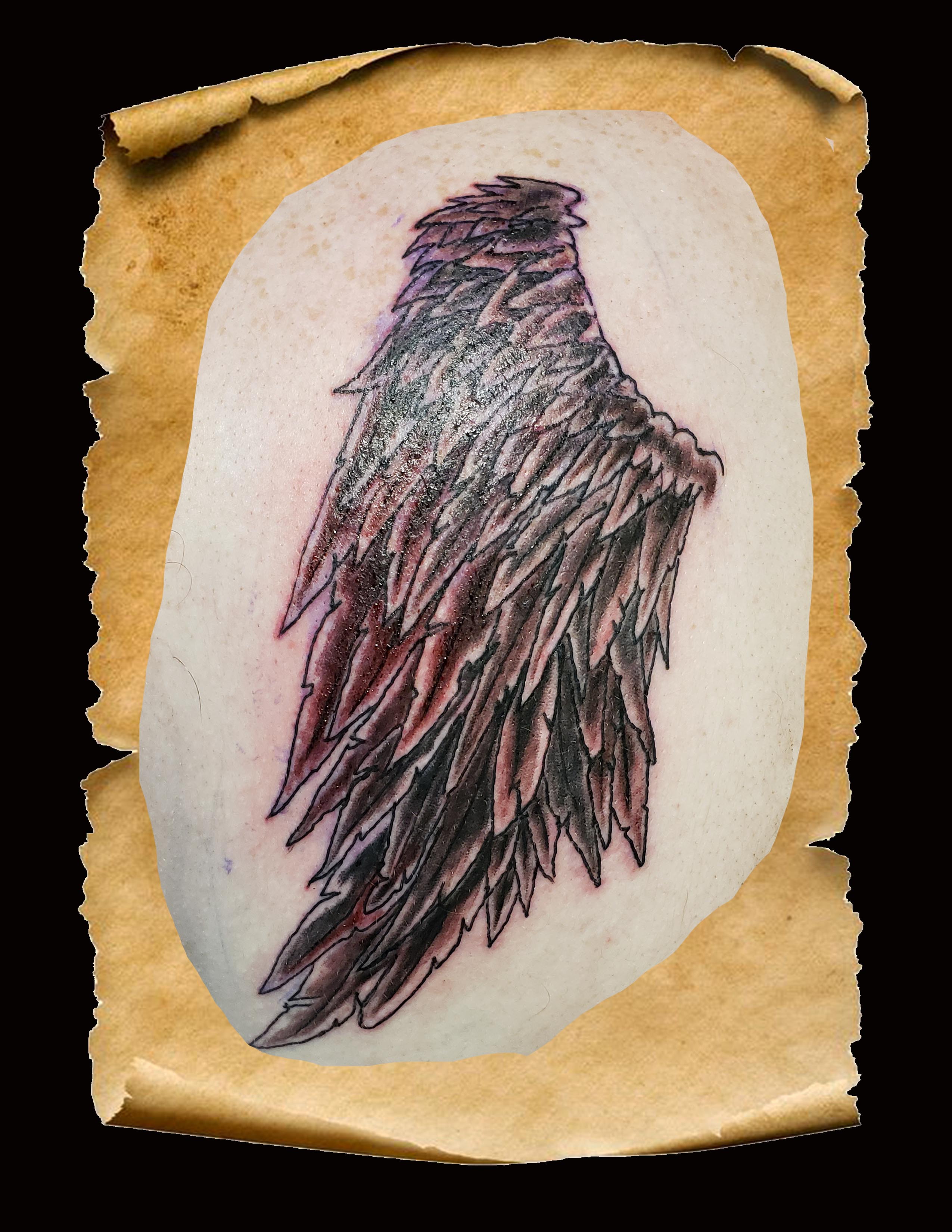 shoulder wing-1 copy