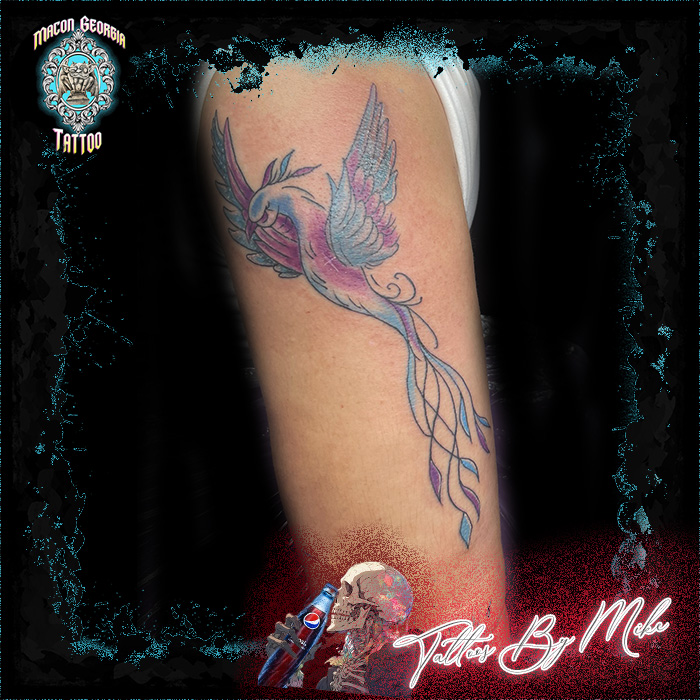 macon georgia tattoo -arm bird